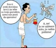FB_IMG_1749240450381.jpg