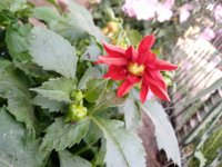 IMG_20250611_184149.jpg