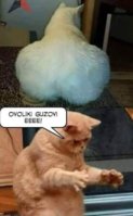 FB_IMG_1749656197261.jpg
