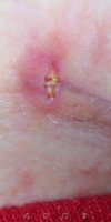 Screenshot_20250613_210151_com.android.gallery3d.jpg