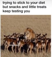 FB_IMG_1750109621028.jpg