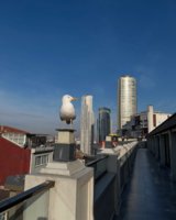 IMG_3210.jpeg