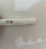 IMG_0303.jpeg