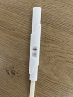 IMG_0304.jpeg