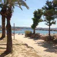 IMG_2146.jpeg