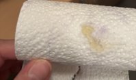 IMG_2884.jpeg