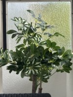 IMG_9063.jpeg