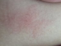 20250630_101157.jpg