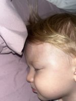 IMG_8644.jpeg
