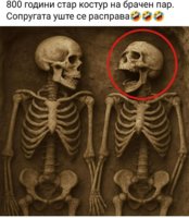 FB_IMG_1751321065673.jpg