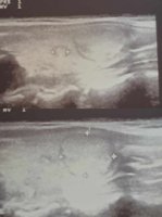 20250701_183248.jpg