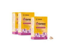 bundle-beeharmony-2_1_1.jpg