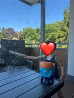 IMG_2069.jpeg