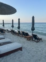 IMG_4246.jpeg