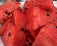 IMG_3895.jpeg