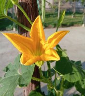IMG_20250714_092909.jpg