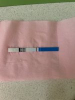 IMG_1338.jpeg