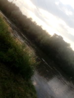 IMG_20250715_185226.jpg