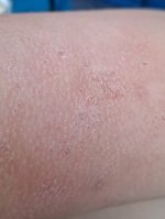 IMG_20250718_164913.jpg