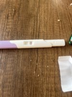 IMG_8975.jpeg