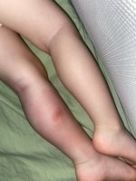 IMG_8538.jpeg