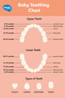 Baby_Teething_Chart_1024x1024.jpg