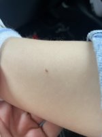 IMG_7347.jpeg