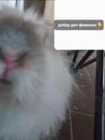 Screenshot_20250727_101808_Gallery.png
