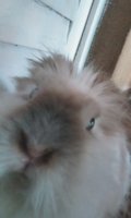 Screenshot_20250727_101646_Gallery_resized.jpg