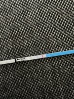 IMG_0705.jpeg