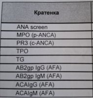20250728_104651.jpg