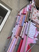 IMG_9773.jpeg