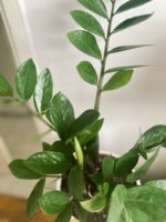 image6 (1).jpeg