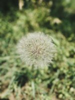 IMG_3135.jpg