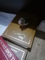 IMG_20250710_201226.jpg