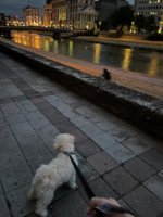 IMG_3947.jpeg