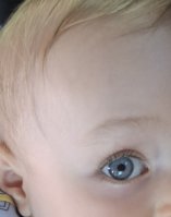 20250718_155820.jpg