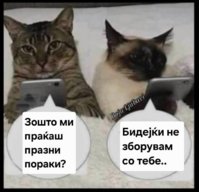 FB_IMG_1754042808369.jpg