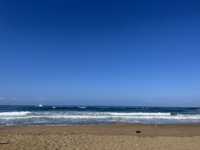IMG_6826.jpeg