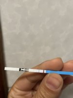IMG_0732.jpeg