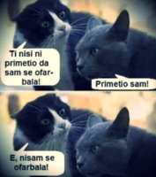 FB_IMG_1754309238344.jpg