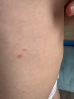 IMG_4139.jpeg