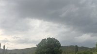 IMG_3971.jpeg