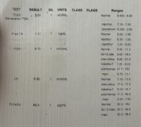IMG_3841.jpeg