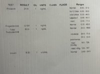 IMG_3842.jpeg