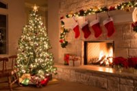 WH-XmasTree_3x2.jpg