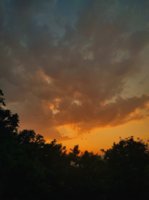 IMG_20250810_084327.jpg
