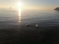 IMG_20250101_154750.jpg