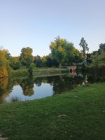 IMG_20250810_200706909.jpg