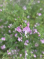 20250715_173458.jpg